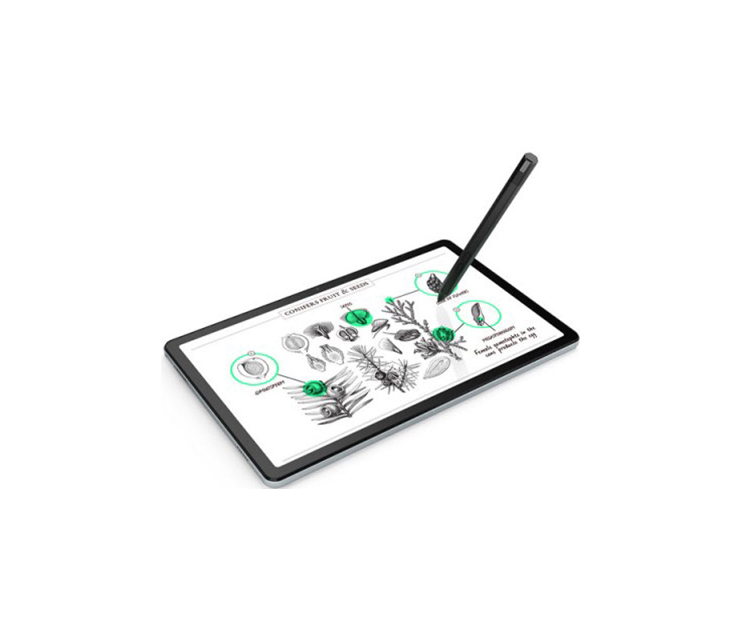 პლანშეტი Lenovo M10 Plus G3 10.6" 2K (SM6225/4GB/128GB) - ZAAN0175RU